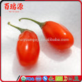 Goji fruits avantages onde comprar goji berry vague encontrar goji berry